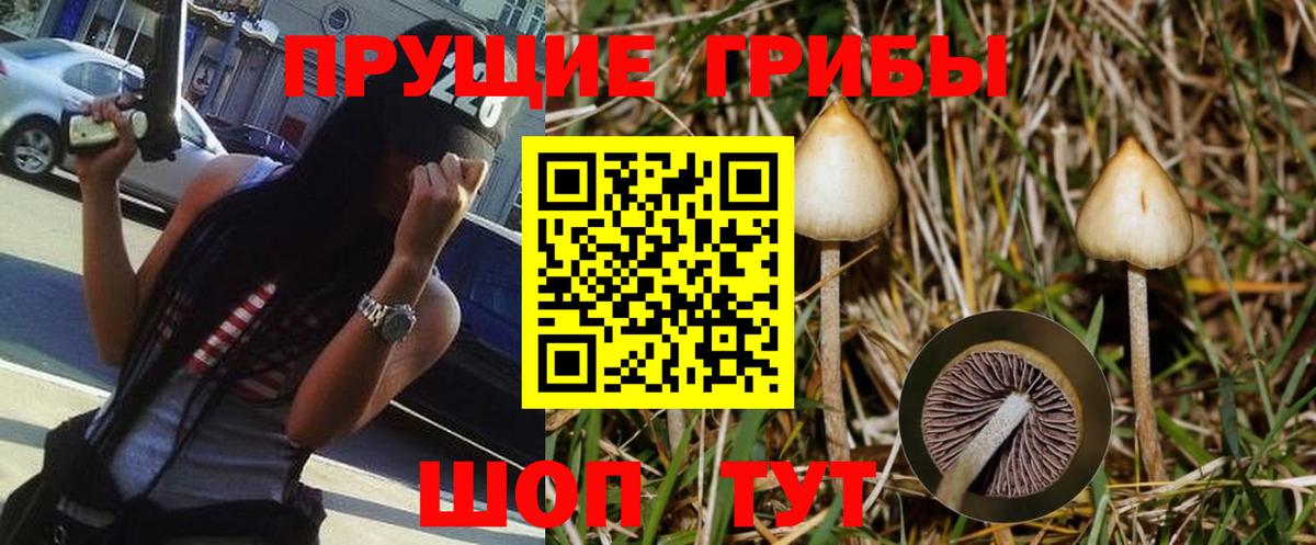 Скопин  Псилоцибиновые грибы Magic Shrooms  Галлюциногенные грибы Magic Shrooms  Вход с VPN 